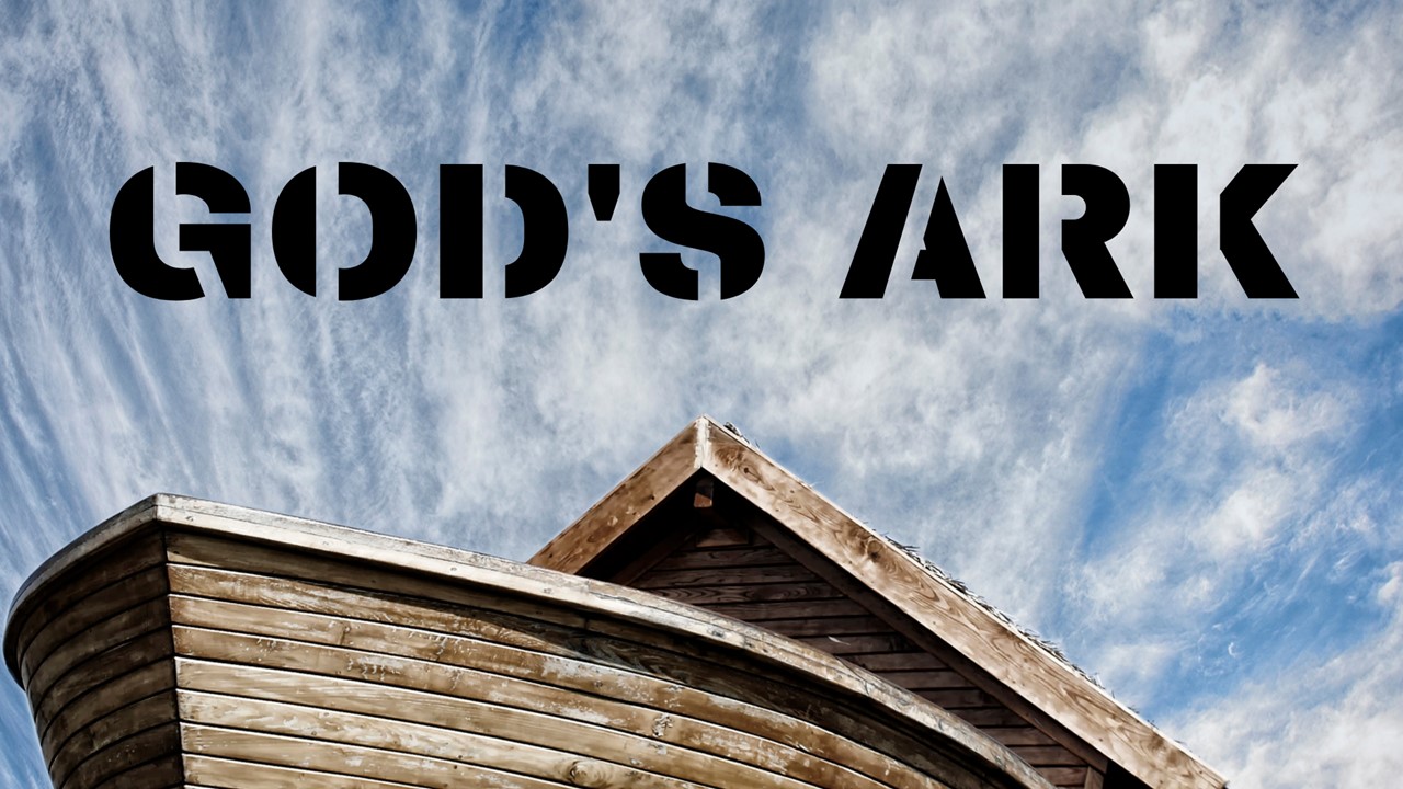 God's Ark - Cover Image